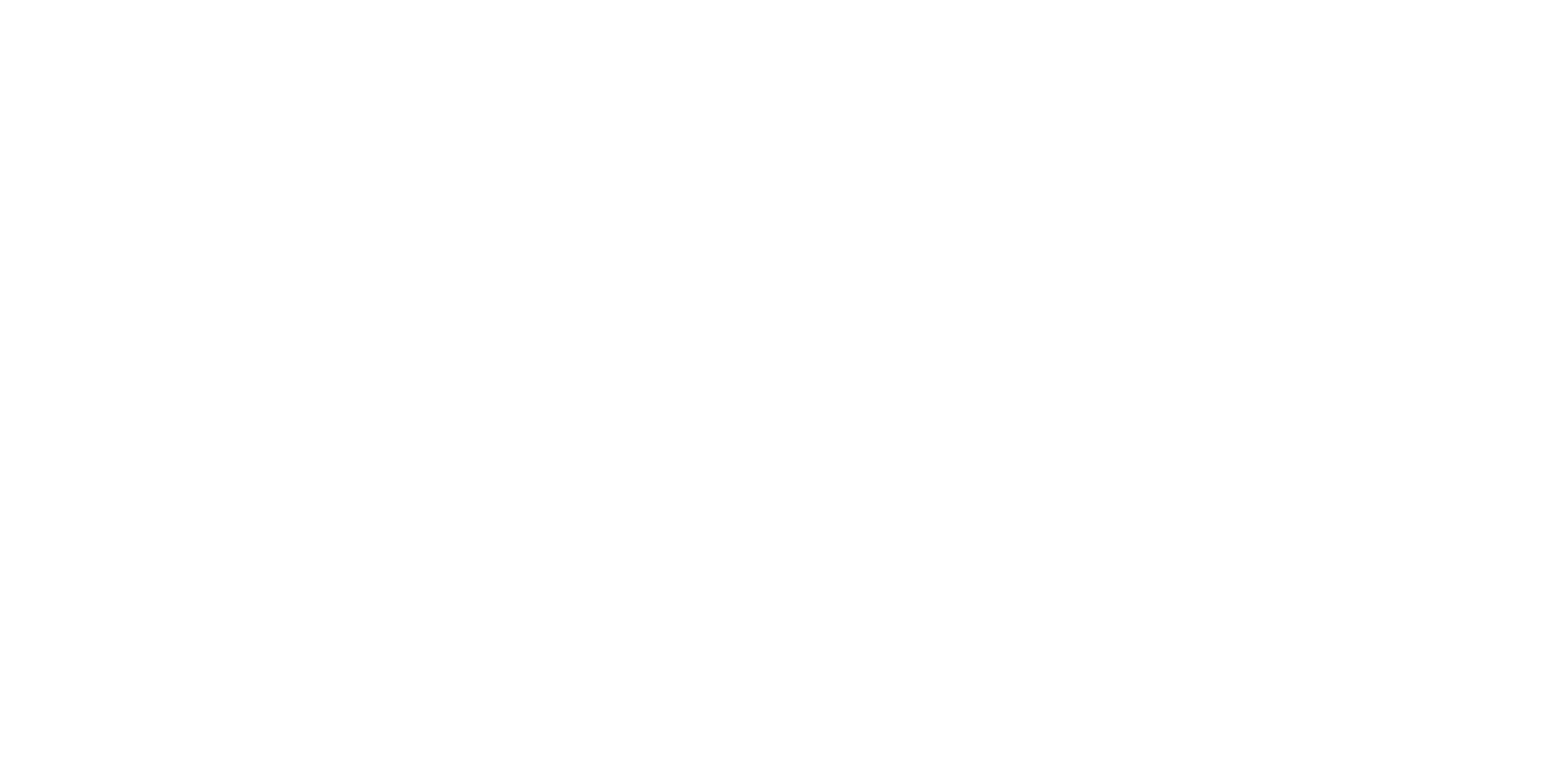 nemalia logo goos plan de travail 1 copie 19